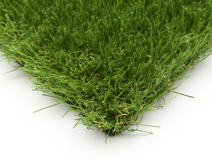 Tomorrow Lawn