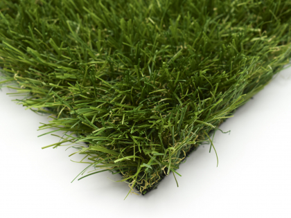 Mardi Grass