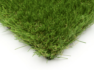 20210205_DOgrass_productfoto__0079_web_Z990 Tomorrow Lawn