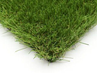 Tomorrow Lawn