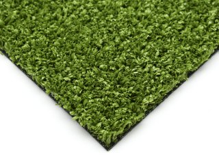 Fitness Grass