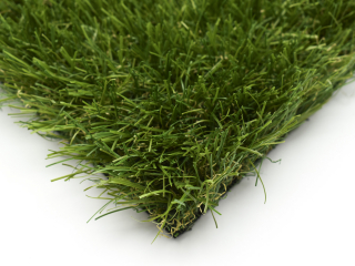 Sample Mardi Grass