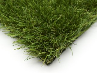 Mardi Grass