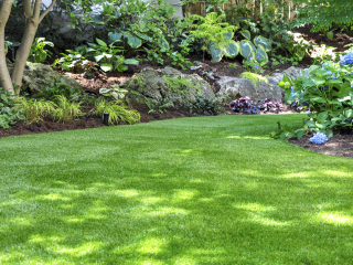 artificial grass installed in a natural garden around lots of plants