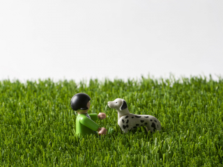 dograss-erba-sintetica-bucaneve-2.jpg BUCANEVE