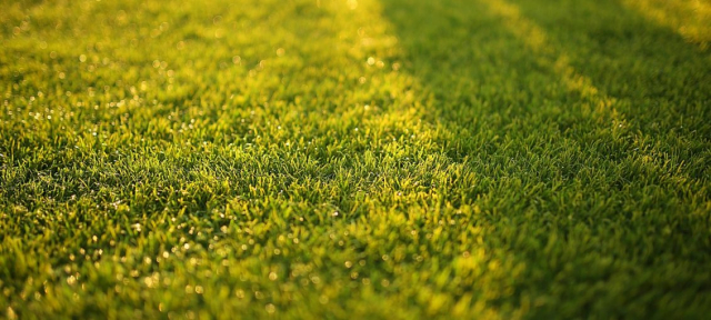 Does artificial turf lose its colour?
